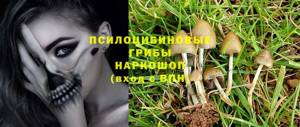 MESCALINE Алзамай
